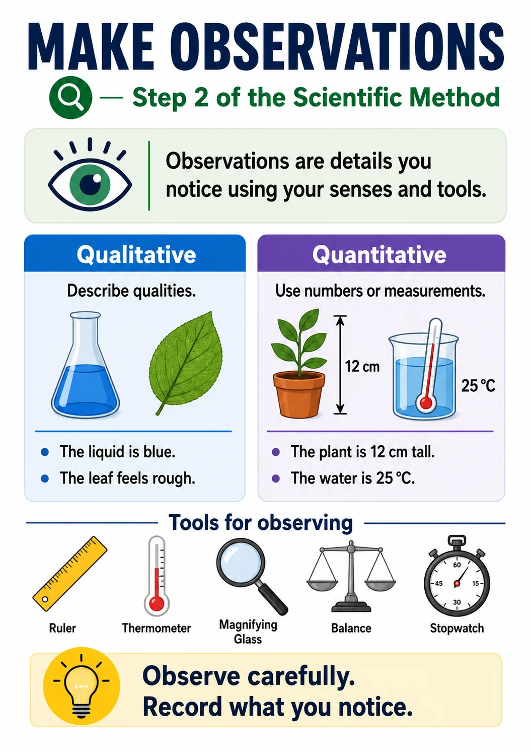 Make Observations infographic poster with clear labels for Scientific Method.