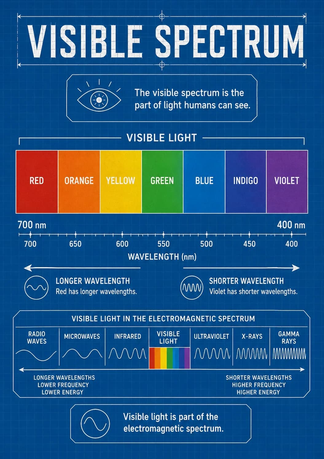 Lower Frequency infographic poster with clear labels for Waves.