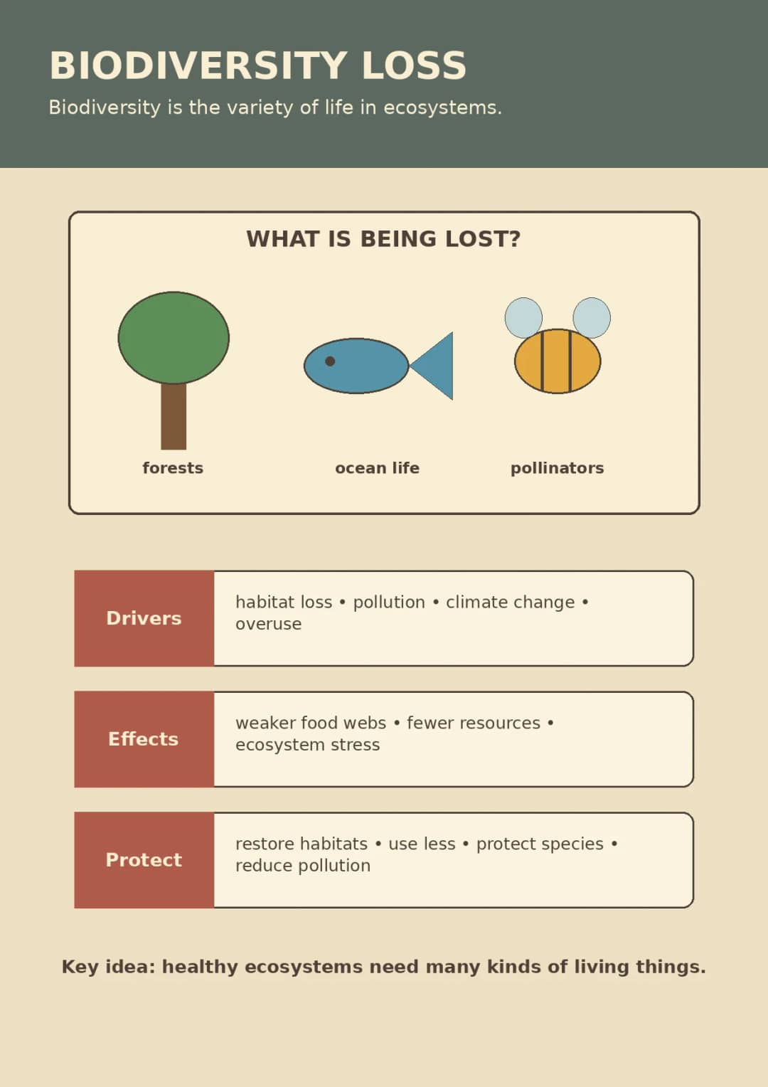 Biodiversity Loss infographic poster showing Biodiversity is the variety of life in ecosystems., WHAT IS BEING LOST?, forests, ocean life...