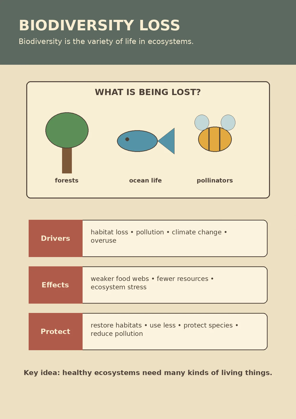 Biodiversity Loss infographic poster with clear labels for Global Issues.