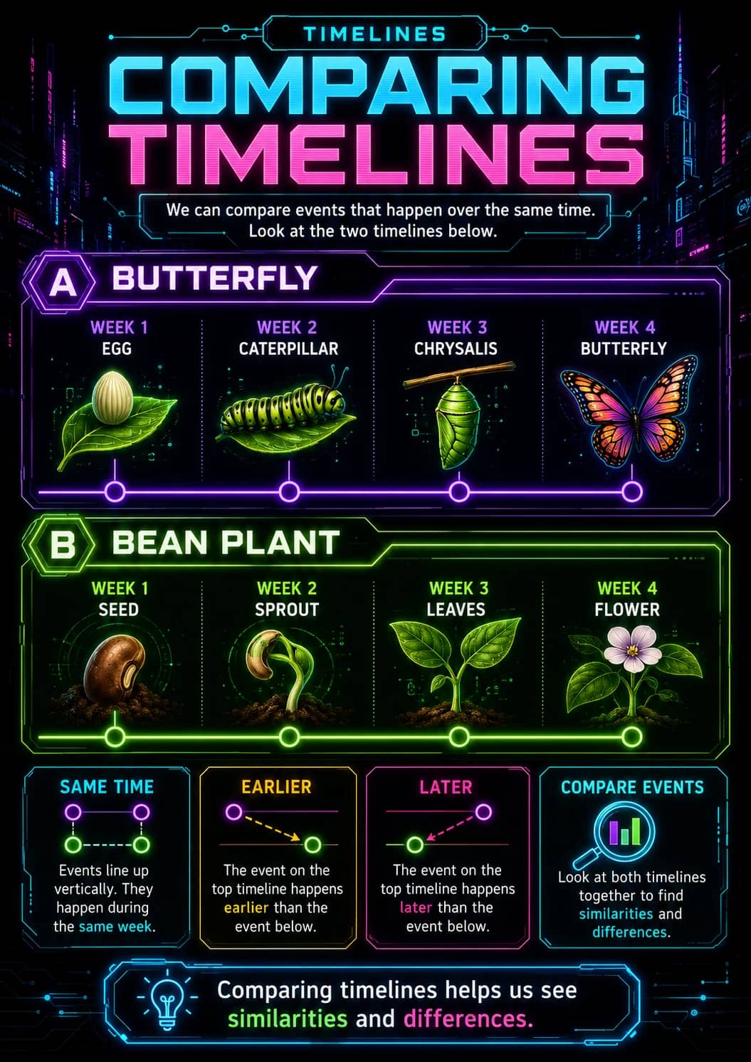 Timelines infographic poster showing COMPARING TIMELINES, We can compare events that happen over the same time., Look at the two timelines...