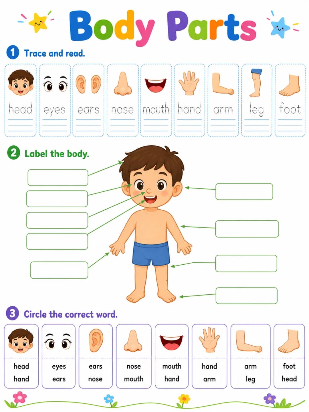 Body Parts printable Grade 2 worksheet preview from KiwiBee