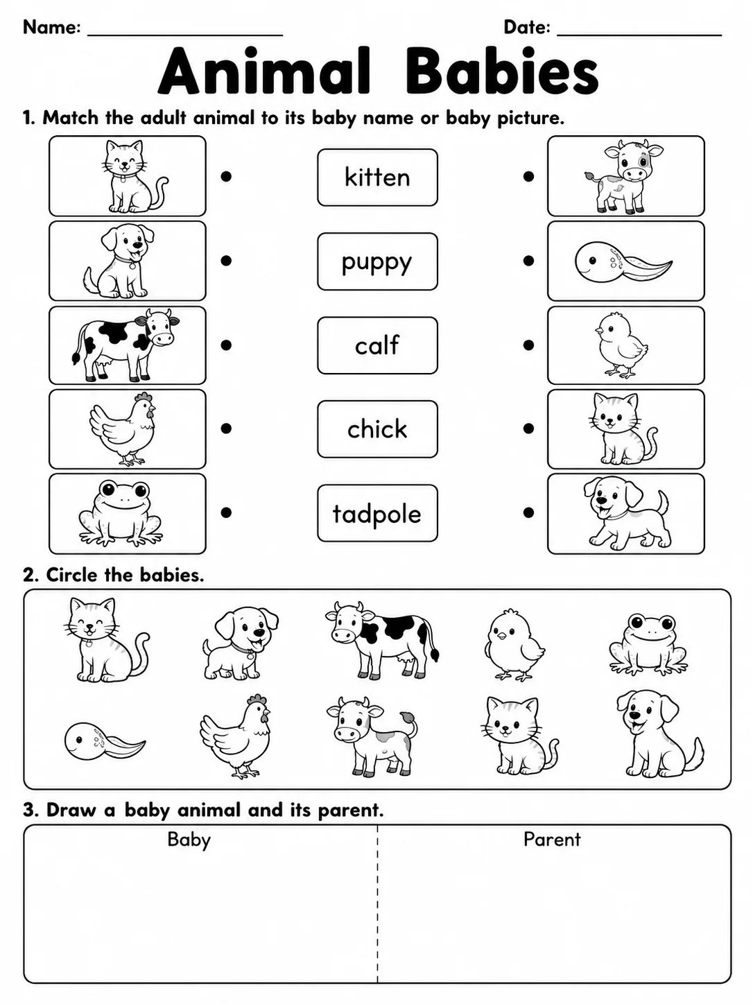 Animal Babies printable Grade 2 worksheet preview from KiwiBee