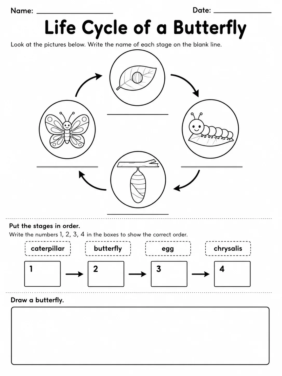 Life Cycle of a Butterfly printable Grade 2 worksheet preview from KiwiBee