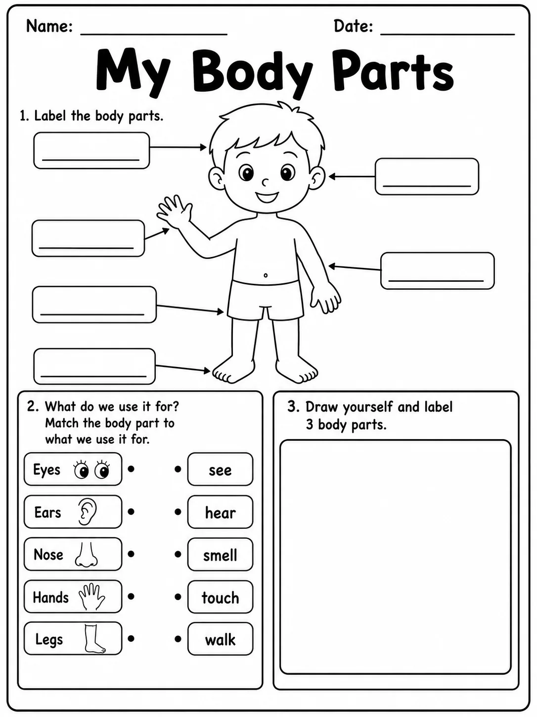 My Body Parts printable Grade 2 worksheet preview from KiwiBee