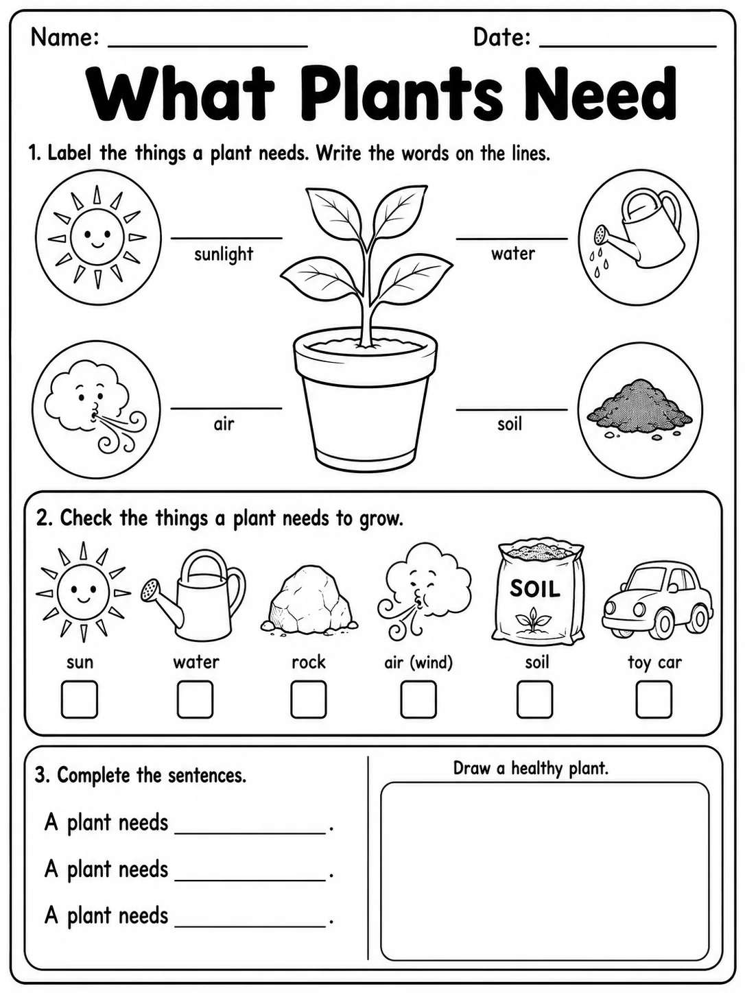 What Plants Need printable Grade 2 worksheet preview from KiwiBee