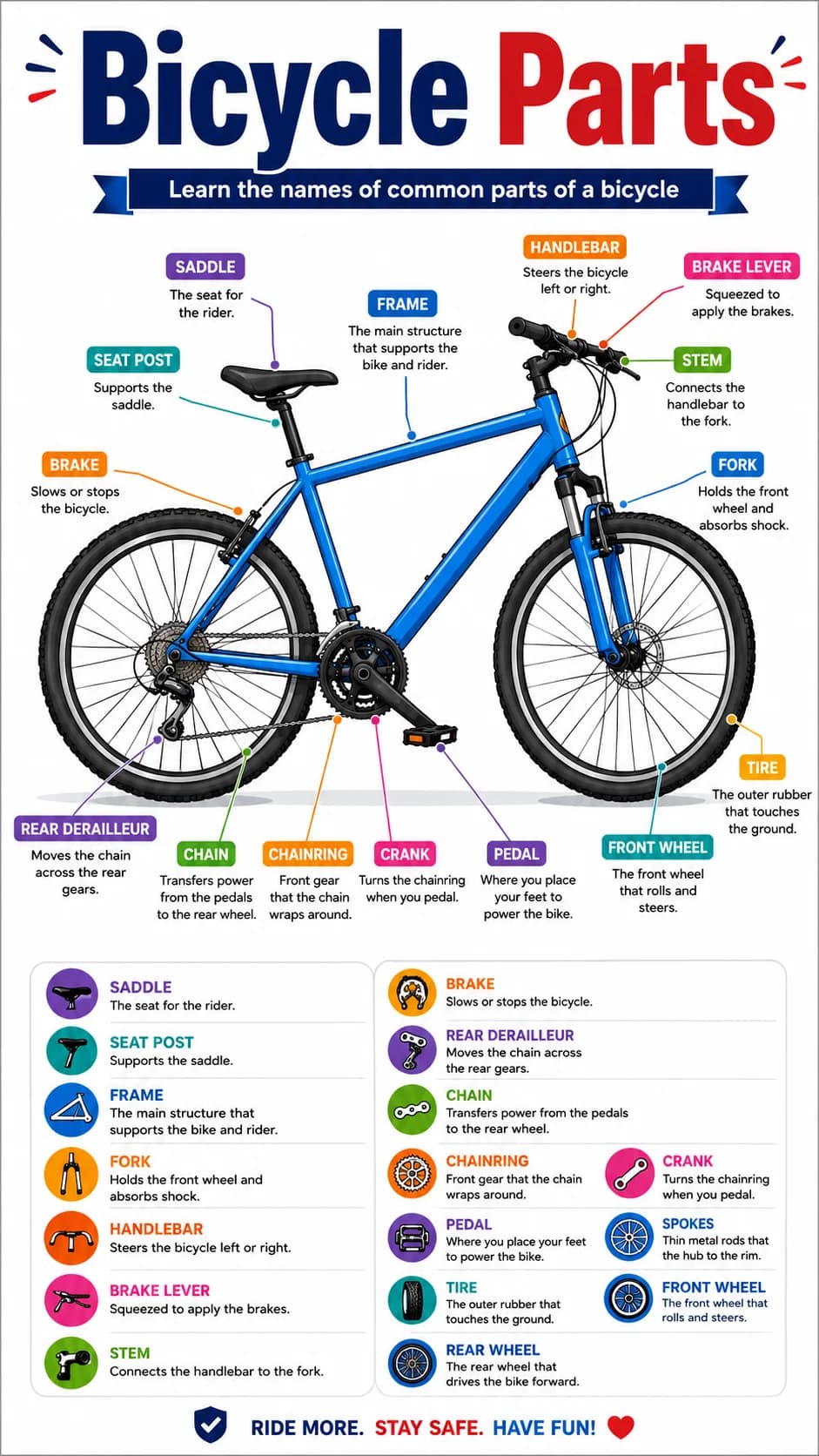 Bicycle Parts Infographic printable English vocabulary infographic preview from KiwiBee