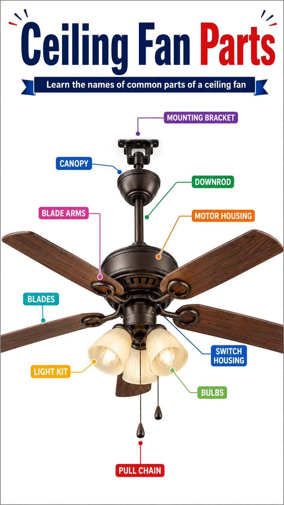 Ceiling Fan Parts Infographic printable English vocabulary infographic preview from KiwiBee