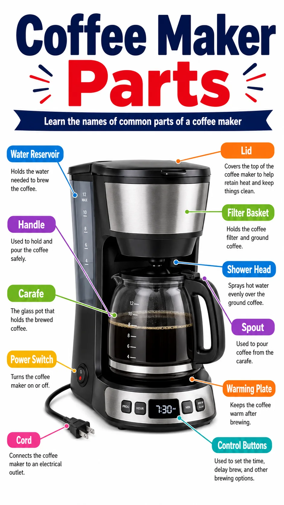 Coffee Maker Parts Infographic printable English vocabulary infographic preview from KiwiBee