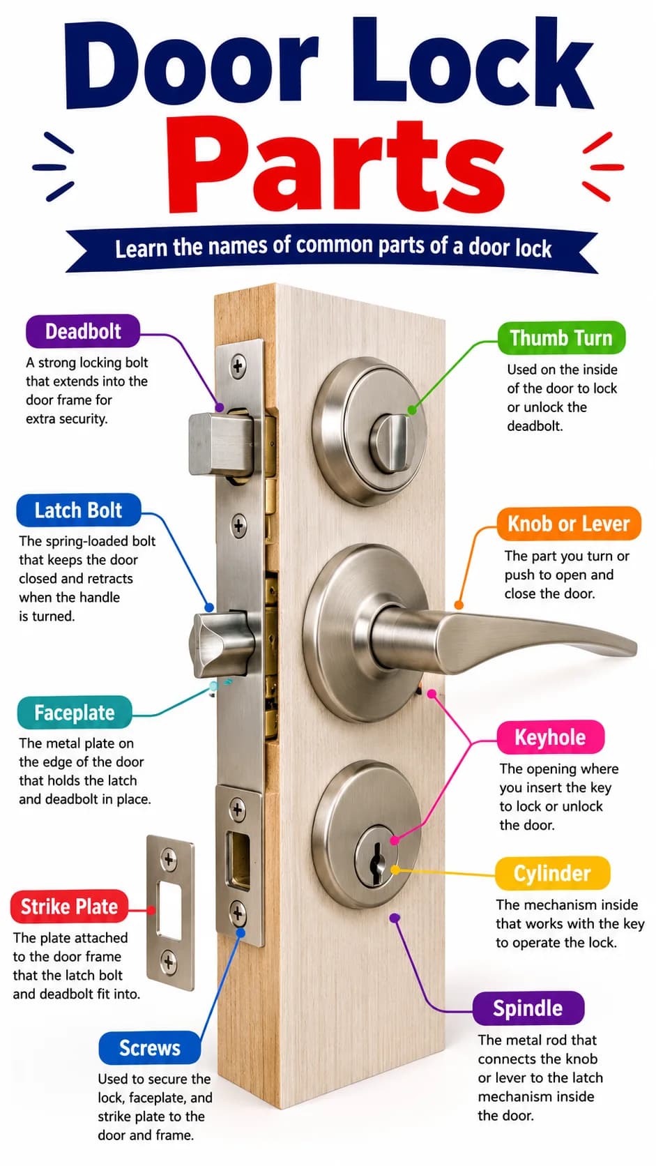 Door Lock Parts Infographic printable English vocabulary infographic preview from KiwiBee