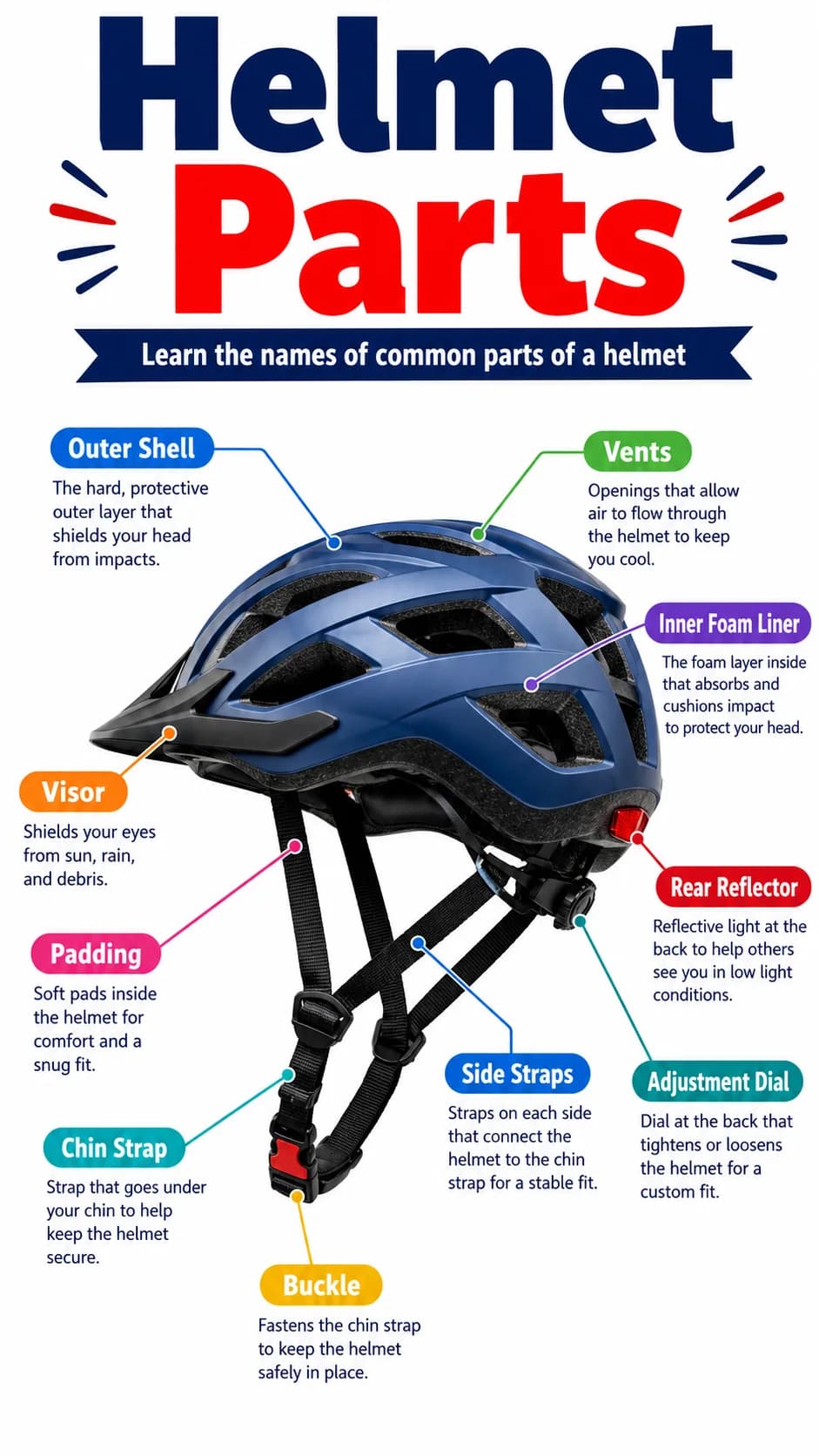 Helmet Parts Infographic printable English vocabulary infographic preview from KiwiBee