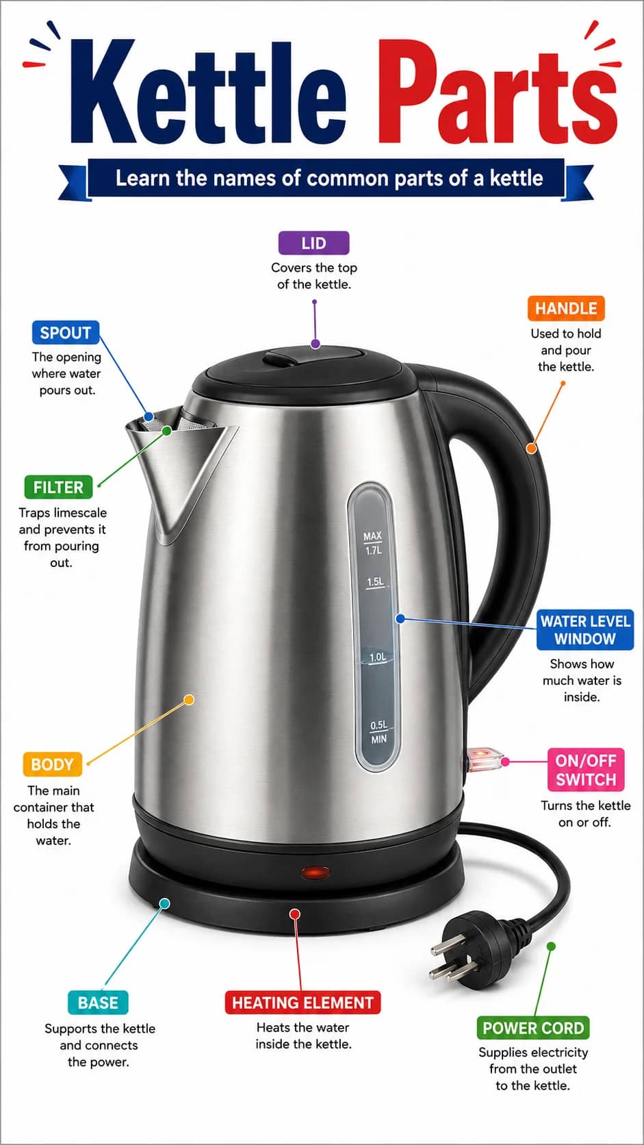 Kettle Parts Infographic printable English vocabulary infographic preview from KiwiBee