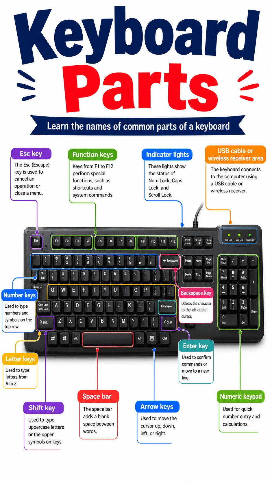 Keyboard Parts Infographic printable English vocabulary infographic preview from KiwiBee