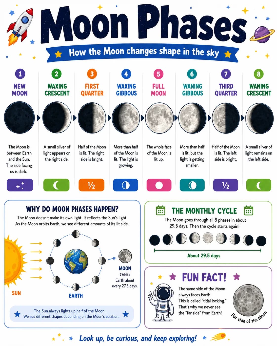 Moon Phases Infographic printable English vocabulary infographic preview from KiwiBee