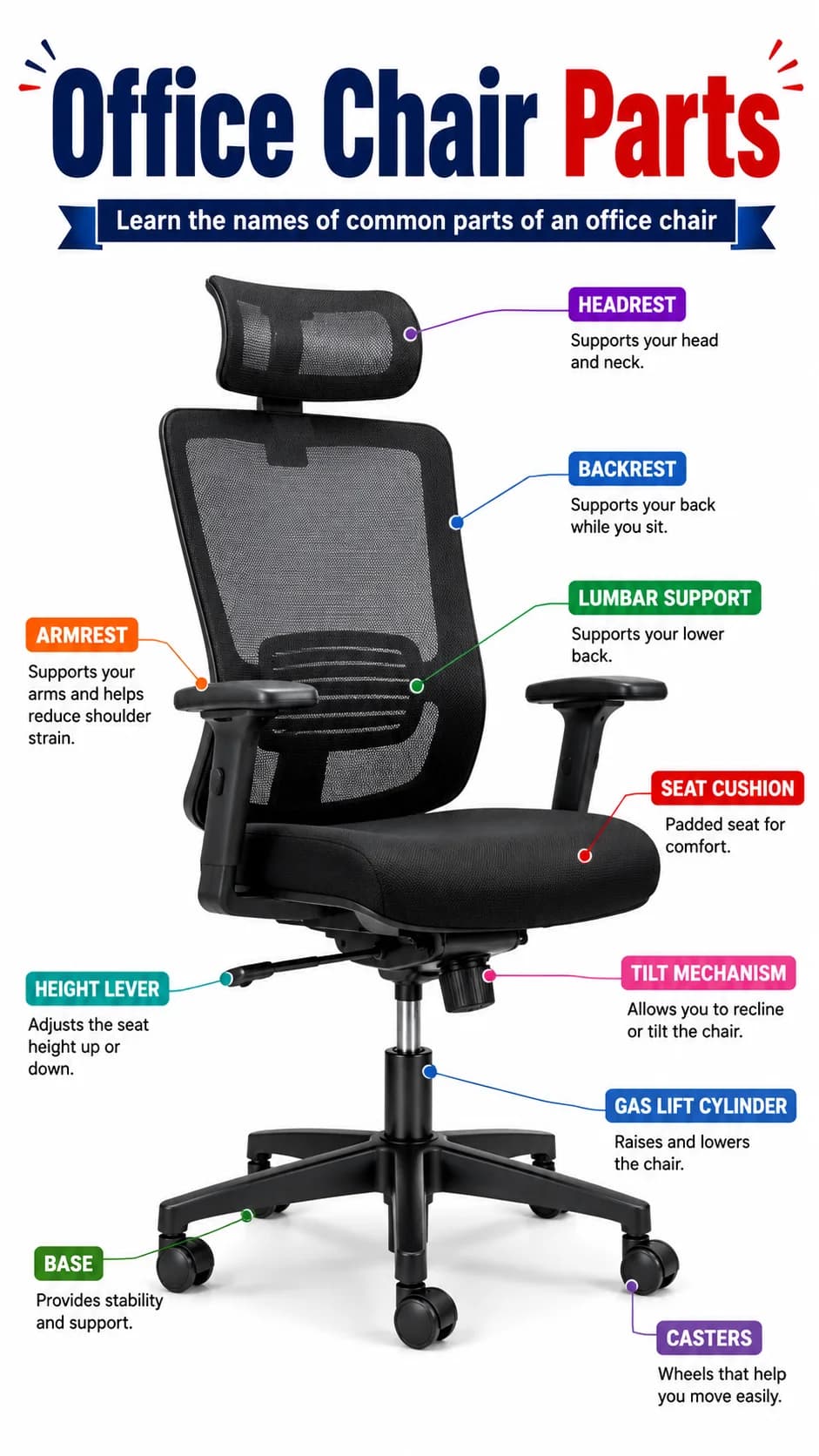 Office Chair Parts Infographic printable English vocabulary infographic preview from KiwiBee