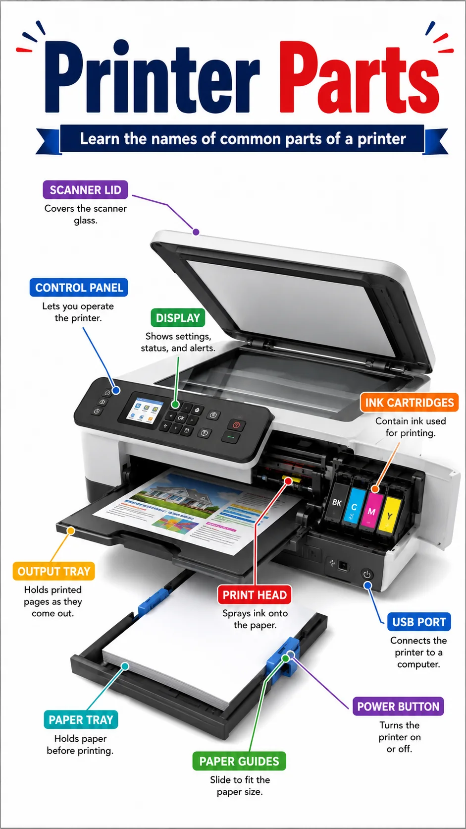 Printer Parts Infographic printable English vocabulary infographic preview from KiwiBee