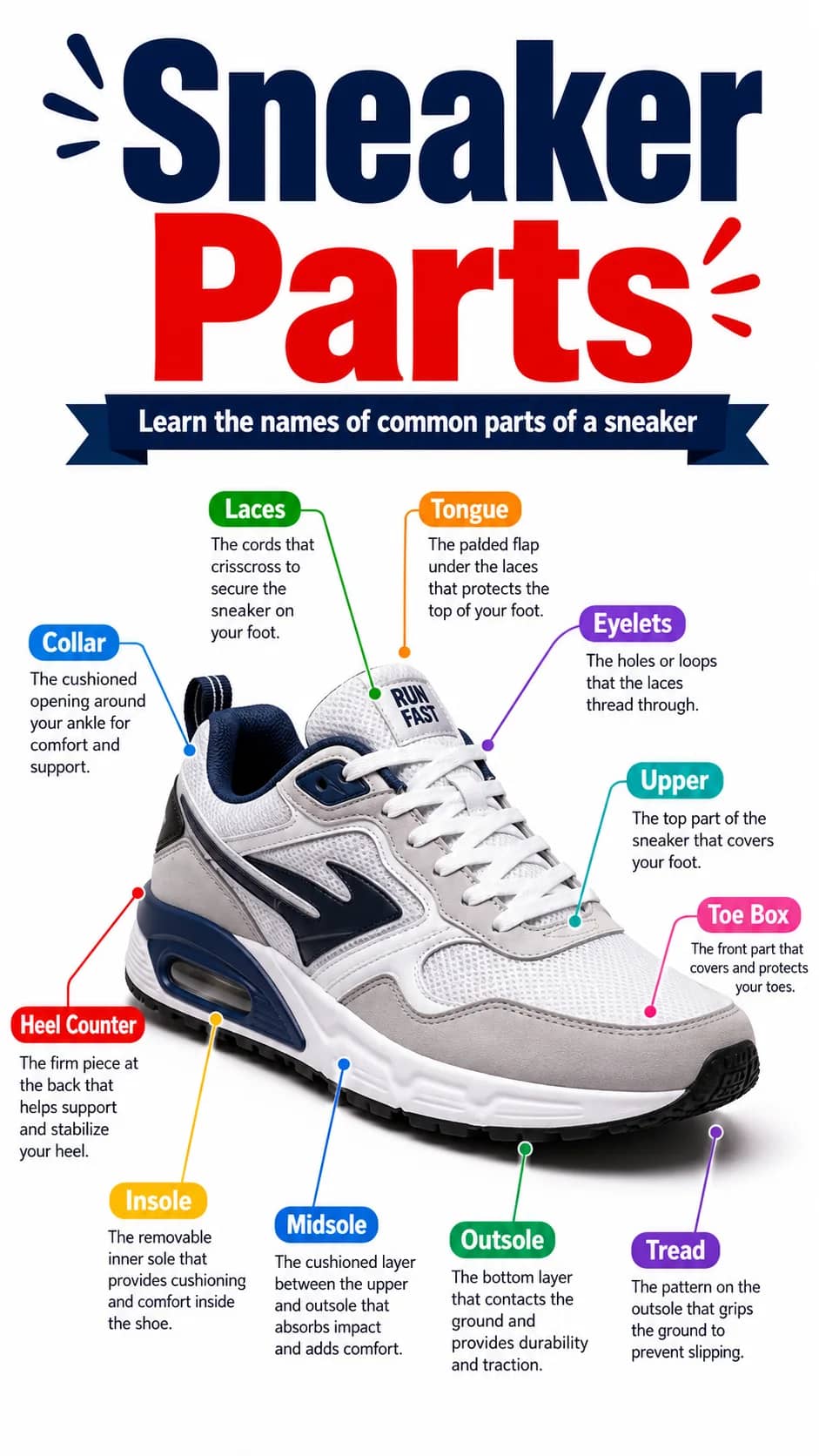Sneaker Parts Infographic printable English vocabulary infographic preview from KiwiBee