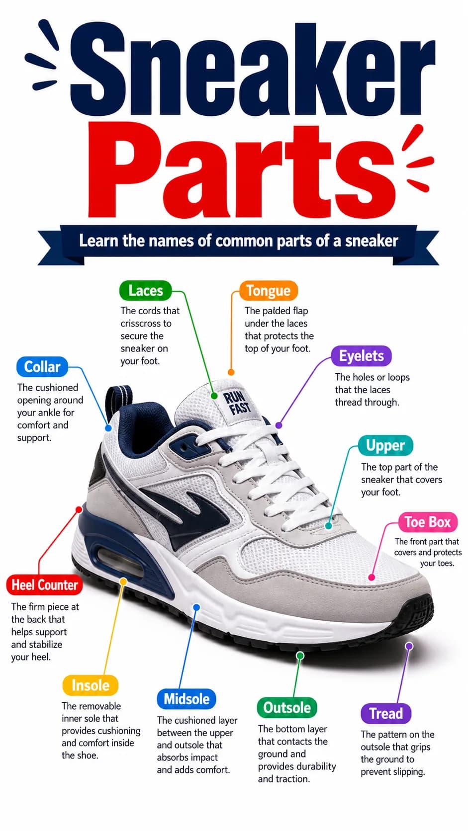 Sneaker Parts Infographic printable English vocabulary infographic preview from KiwiBee