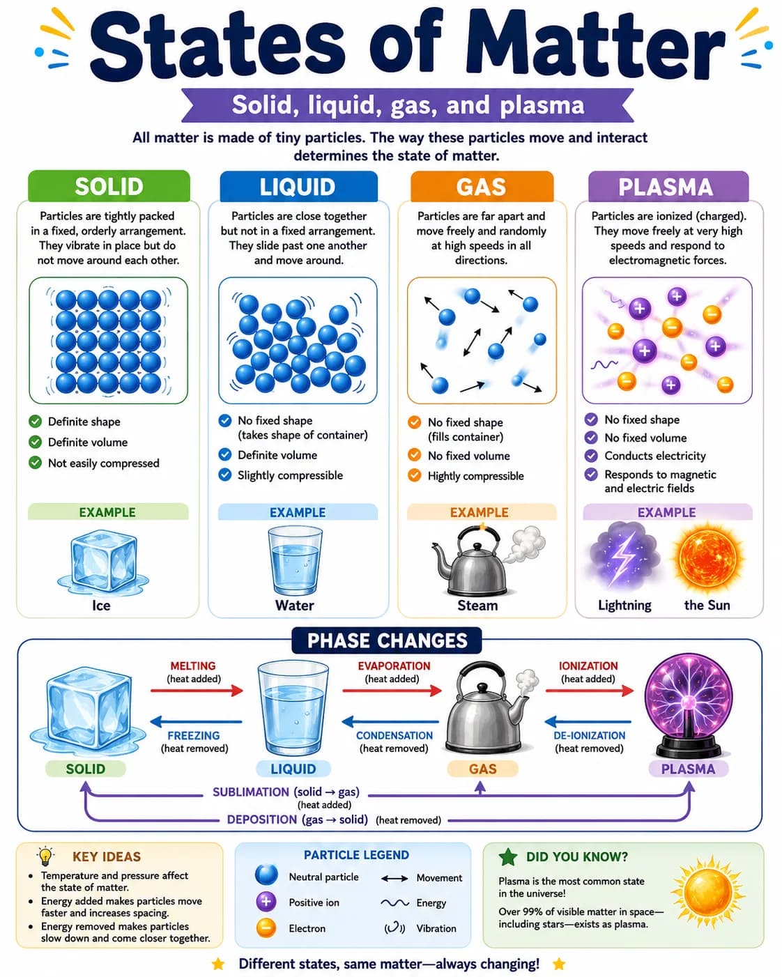 States of Matter Infographic printable English vocabulary infographic preview from KiwiBee