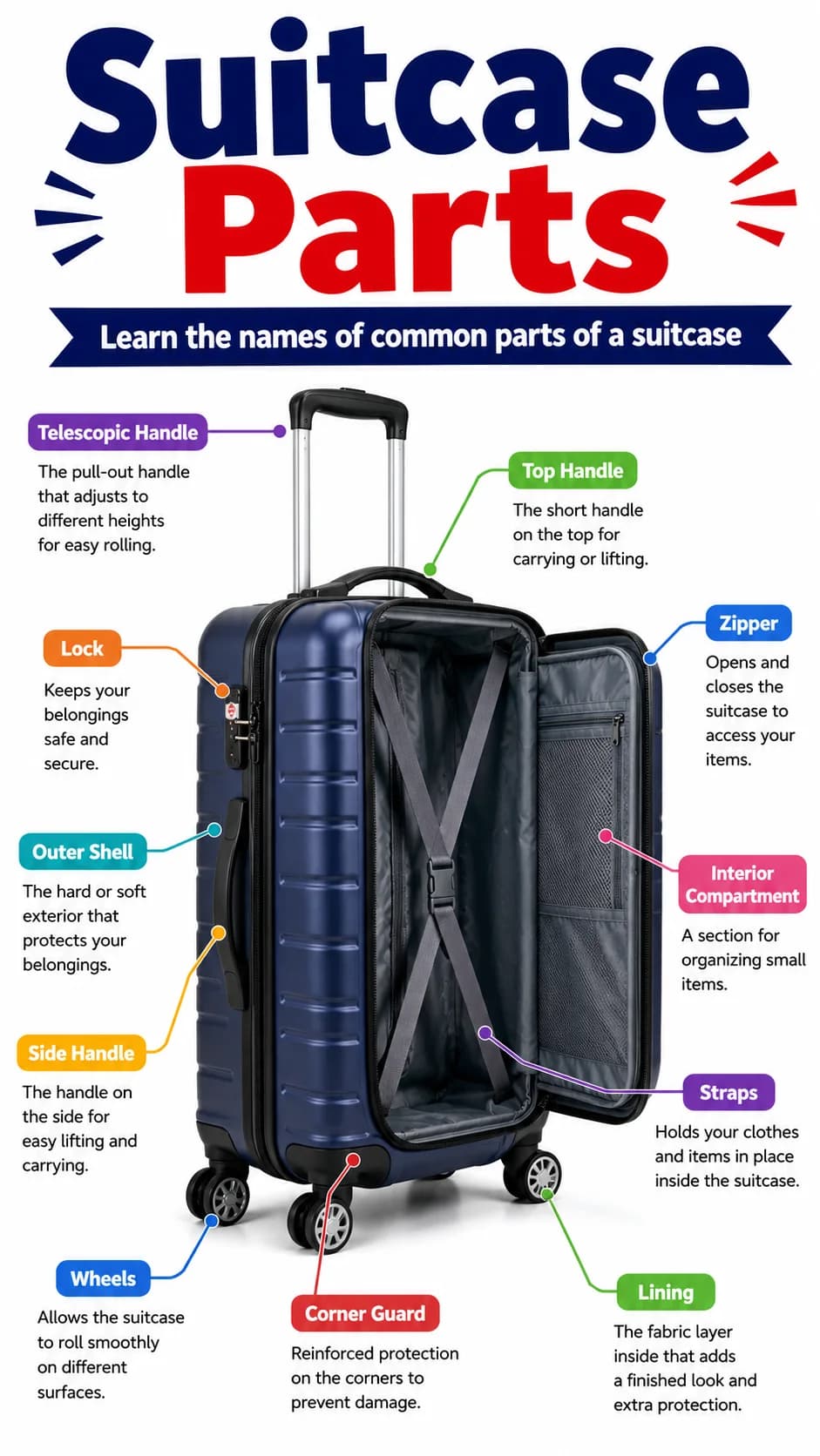 Suitcase Parts Infographic printable English vocabulary infographic preview from KiwiBee