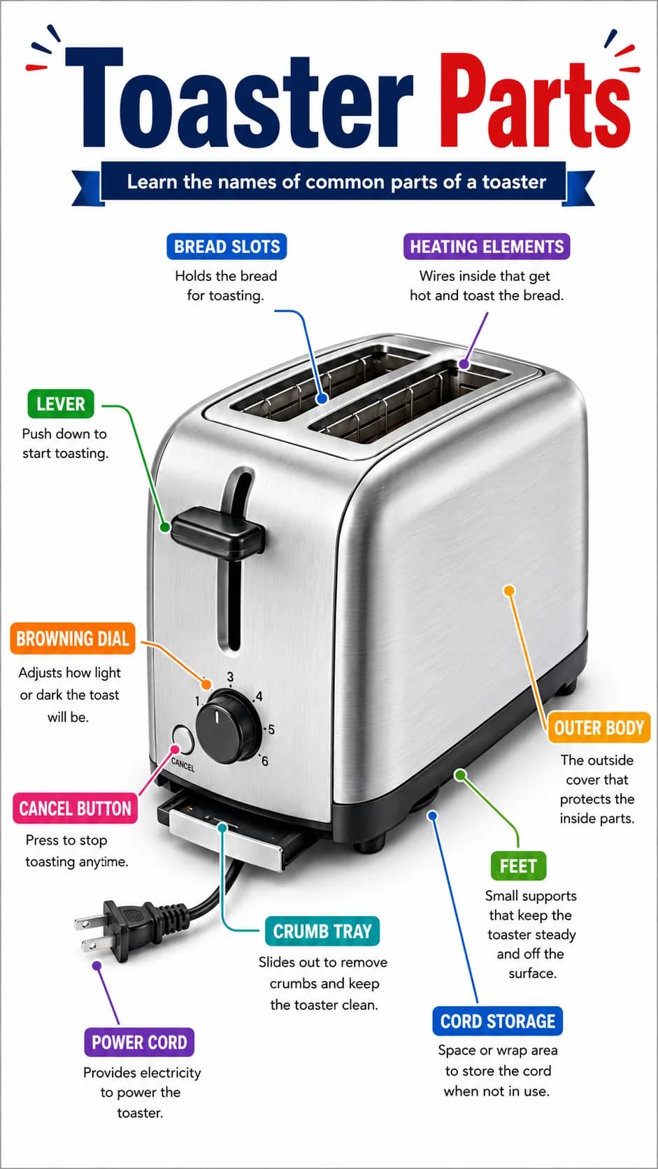 Toaster Parts Infographic printable English vocabulary infographic preview from KiwiBee