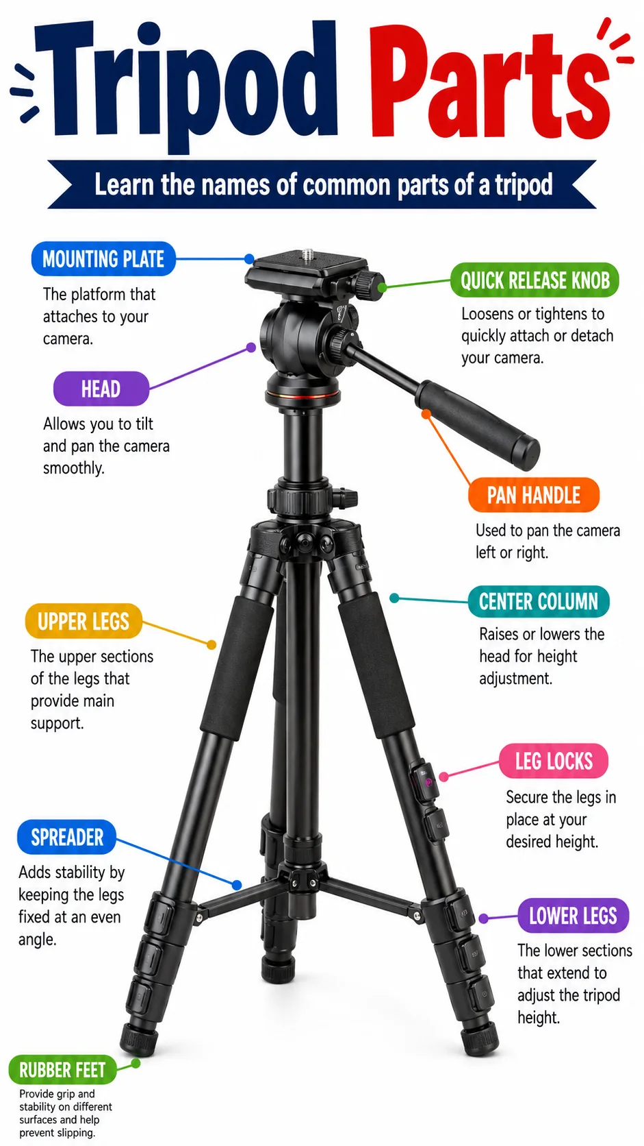 Tripod Parts Infographic printable English vocabulary infographic preview from KiwiBee