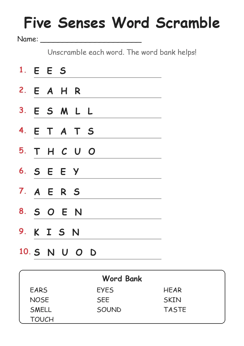 Five Senses word scramble worksheet for Grade 3