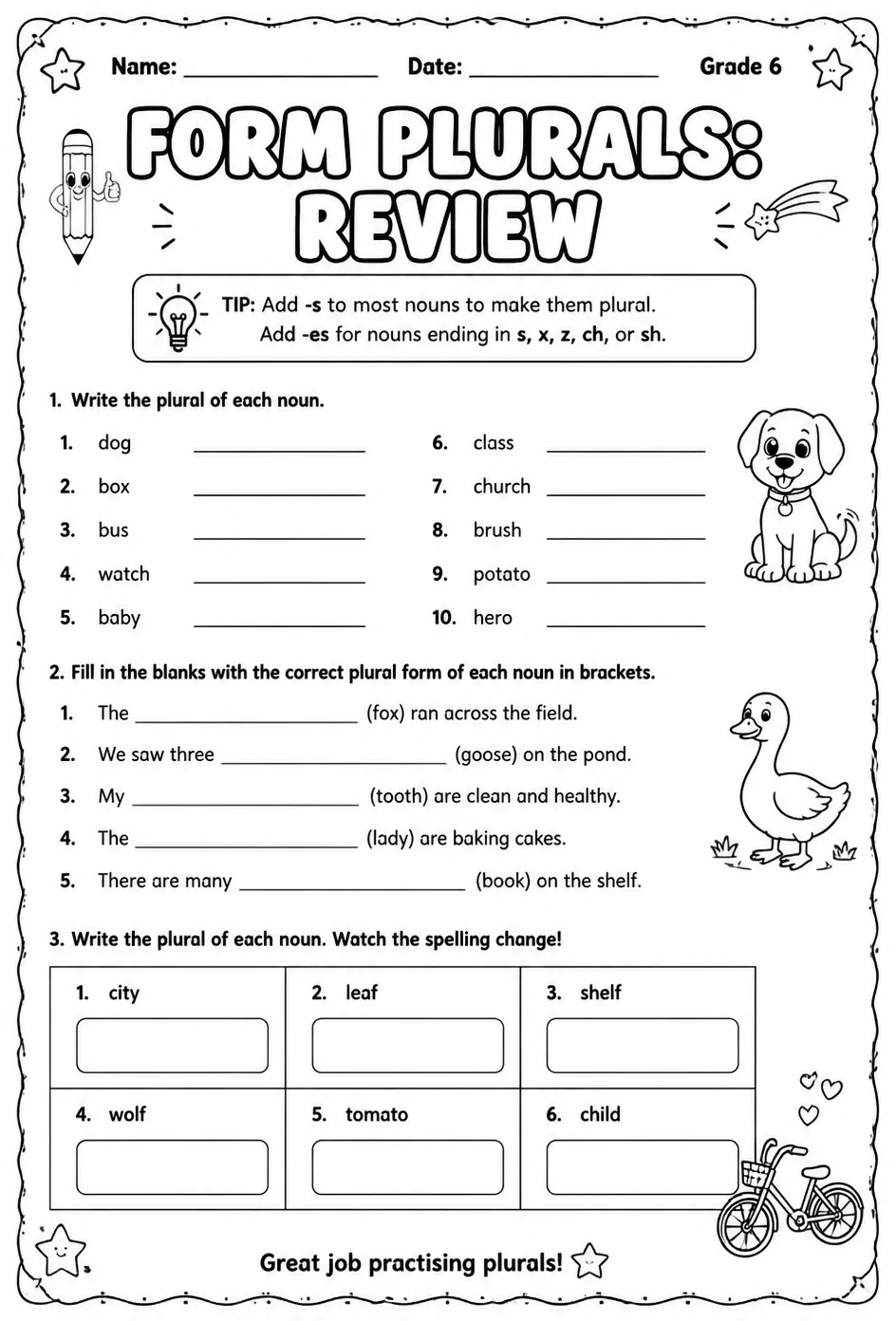 Form plurals: review — free printable Middle School English & Reading worksheet
