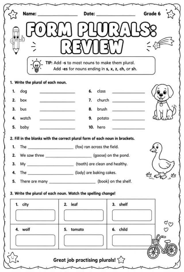 Form plurals: review