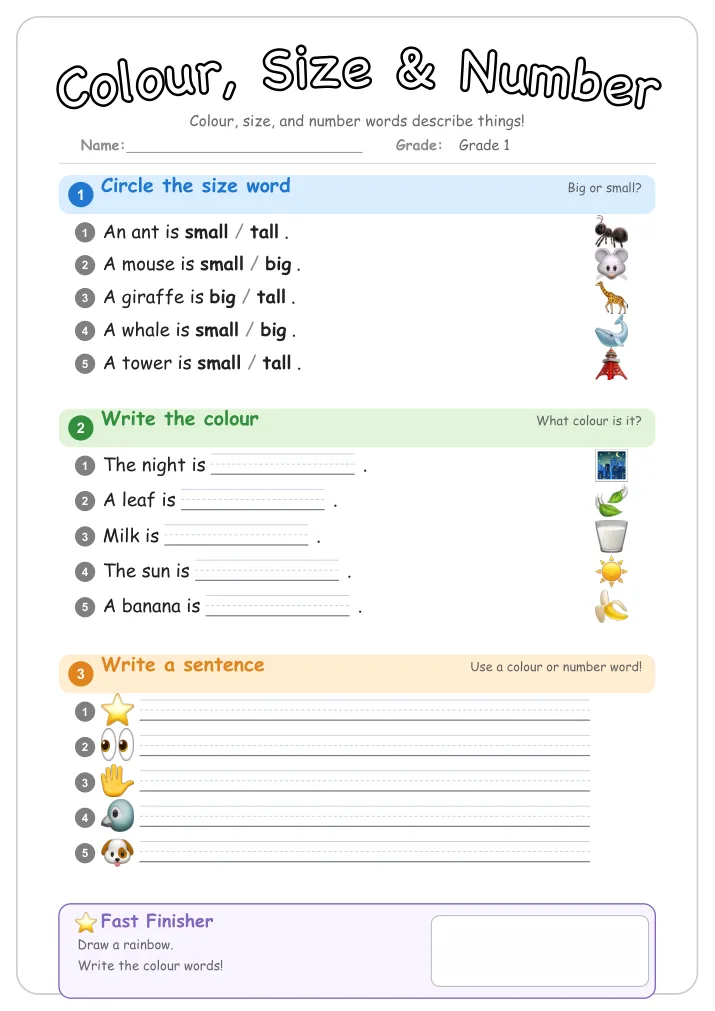 Colour, Size & Number grammar worksheet for Grade 1