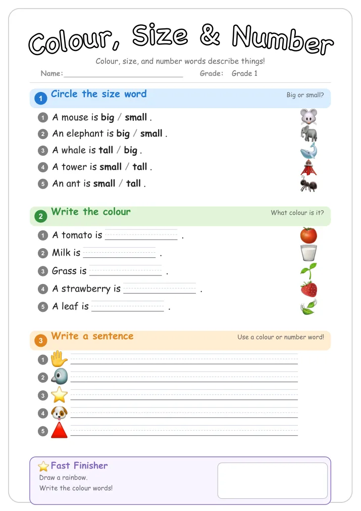 Colour, Size & Number grammar worksheet for Grade 1