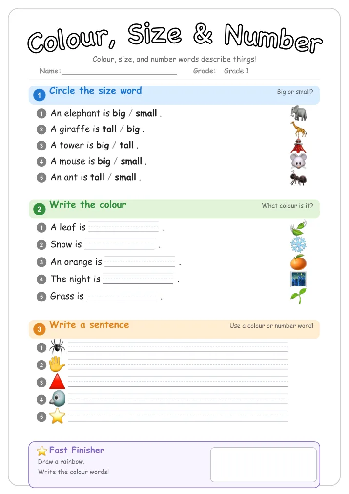 Colour, Size & Number grammar worksheet for Grade 1
