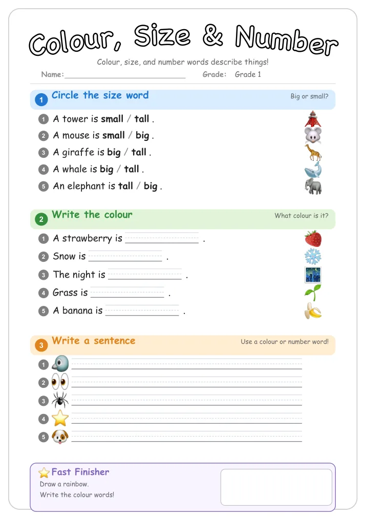 Colour, Size & Number grammar worksheet for Grade 1