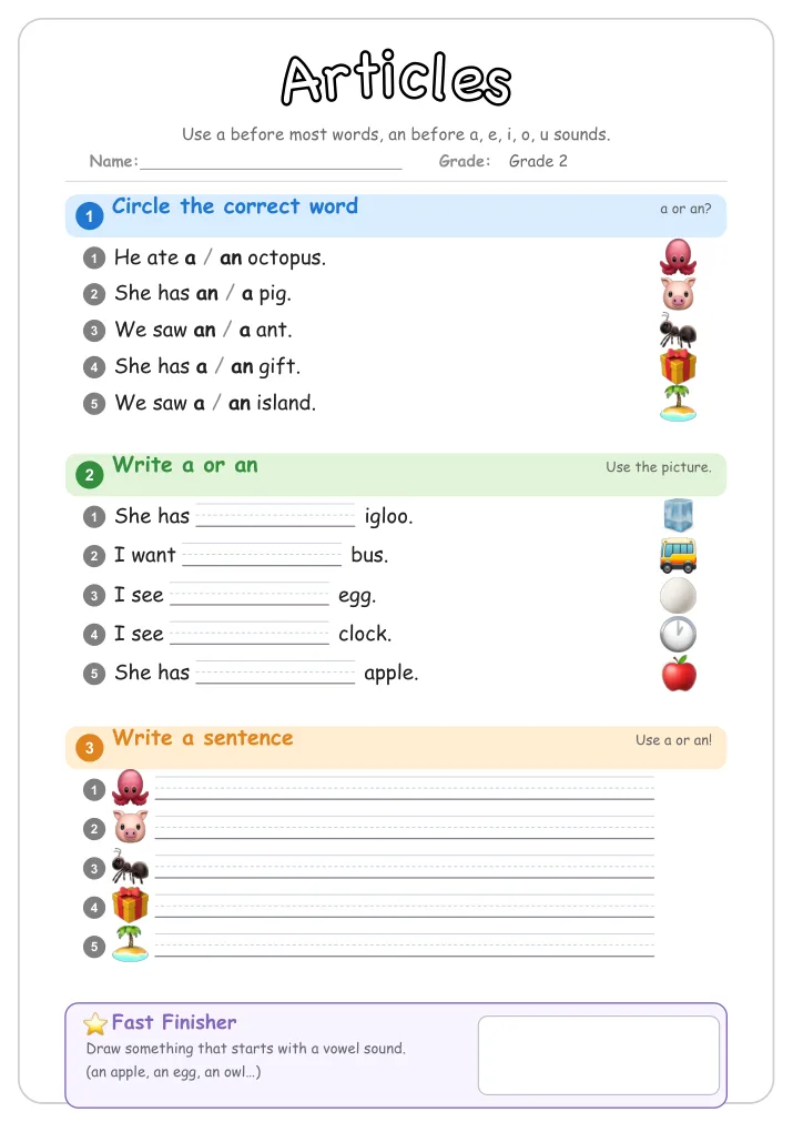 Articles grammar worksheet for Grade 2