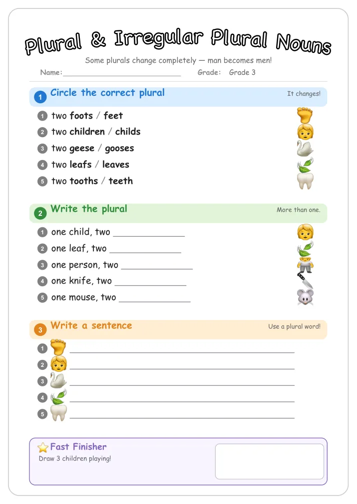 Plural & Irregular Plural Nouns grammar worksheet for Grade 3
