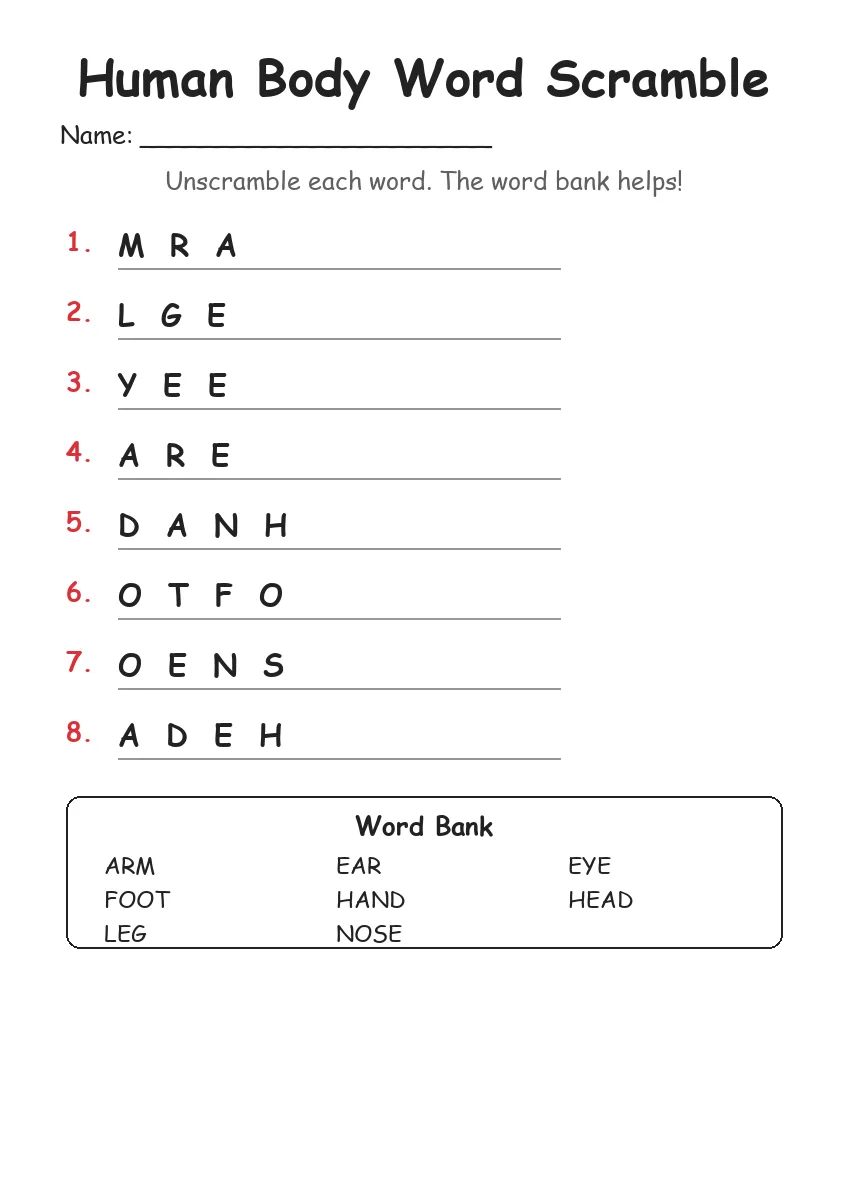 Human Body word scramble worksheet for Grade 1