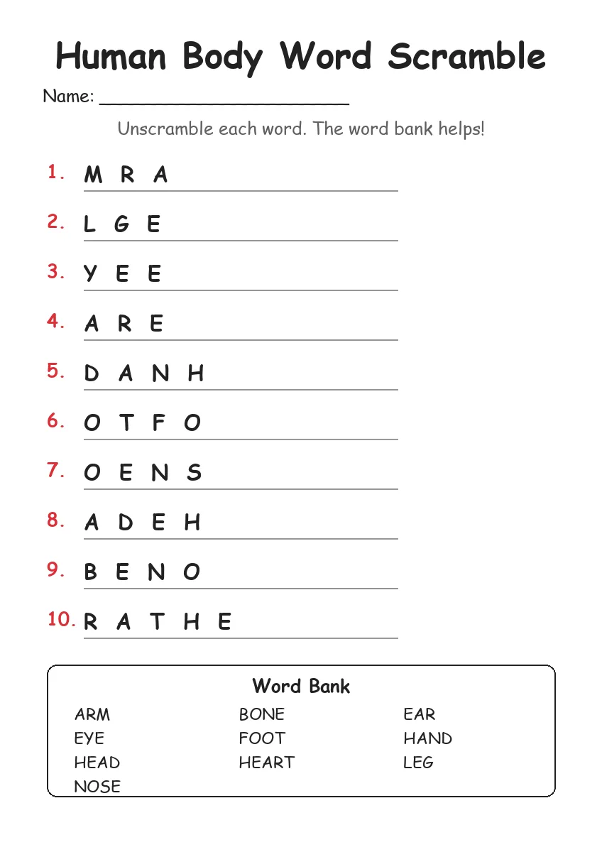 Human Body word scramble worksheet for Grade 3