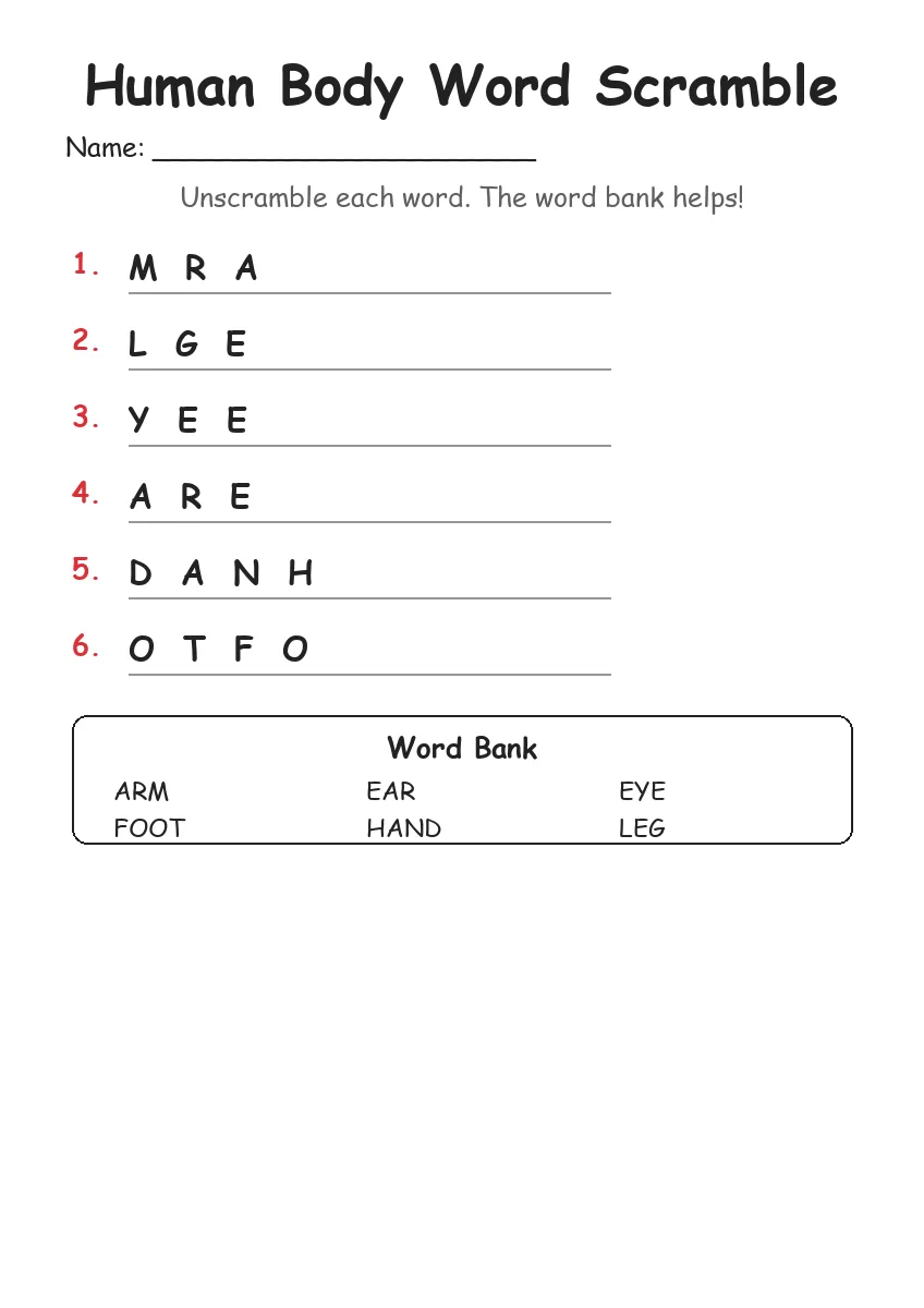 Human Body word scramble worksheet for Kindergarten