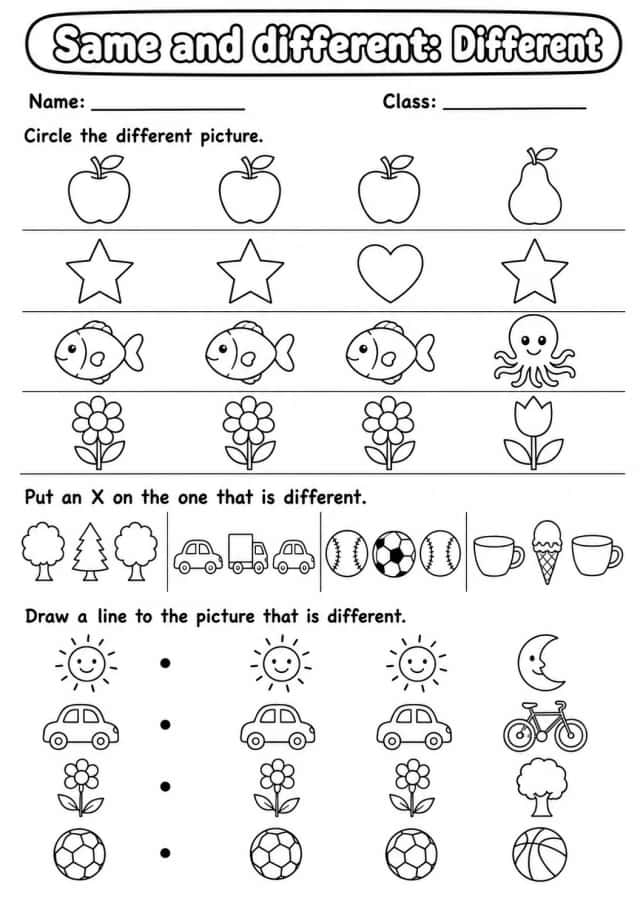 Kindergarten Same and Different Math Worksheet Pack