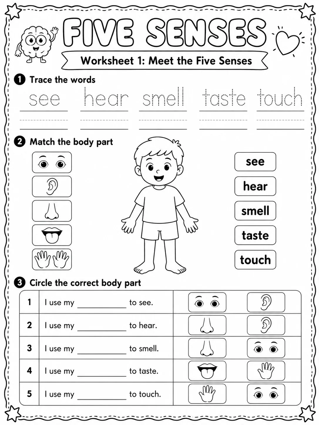 Five Senses Worksheet Pack 10 printable pages preview from KiwiBee