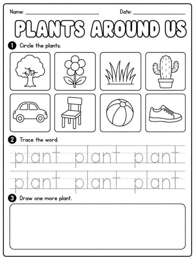 Plants Around Us Worksheet Pack