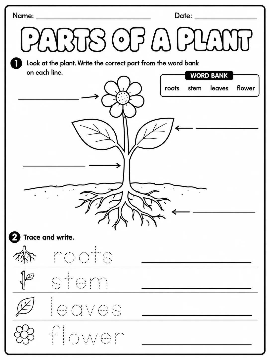Plants Around Us Worksheet Pack page 2 printable worksheet preview