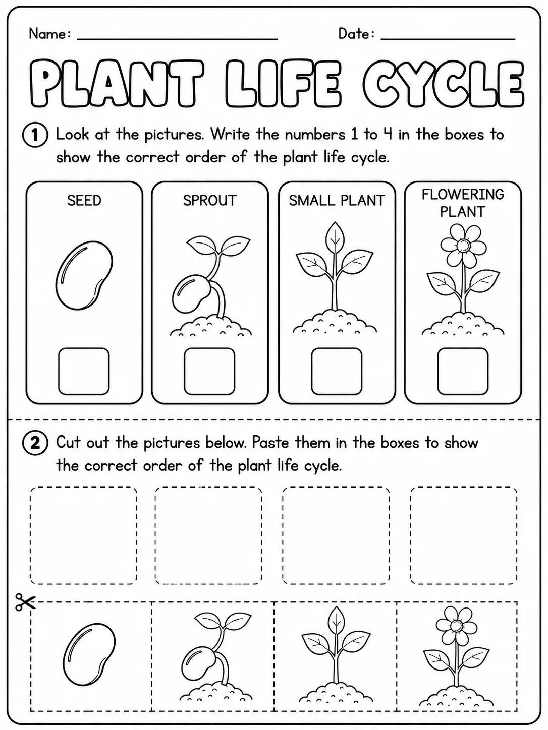 Plants Around Us Worksheet Pack page 4 printable worksheet preview
