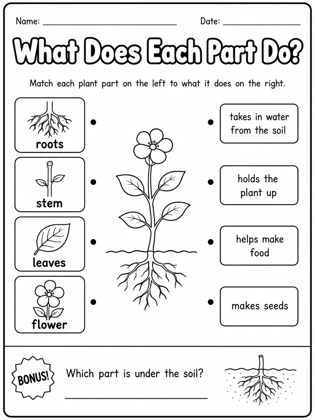 Plants Around Us Worksheet Pack page 5 printable worksheet preview