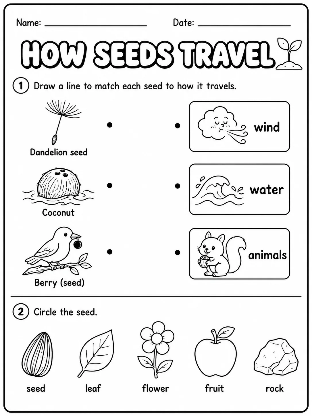 Plants Around Us Worksheet Pack page 6 printable worksheet preview