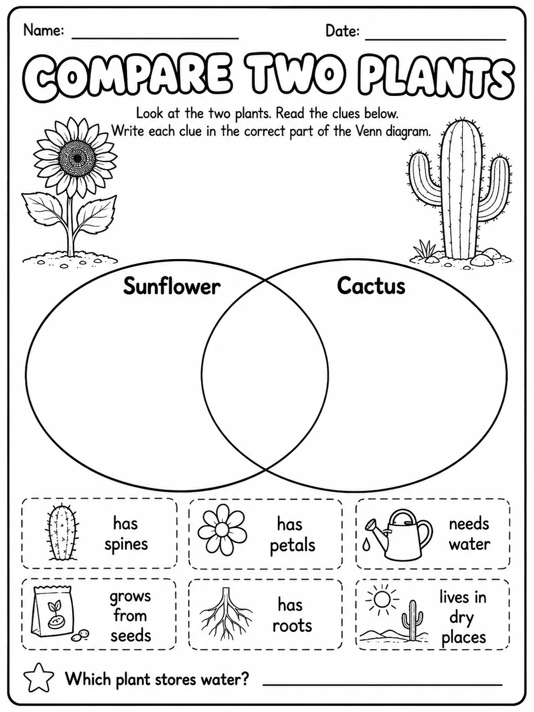 Plants Around Us Worksheet Pack page 7 printable worksheet preview