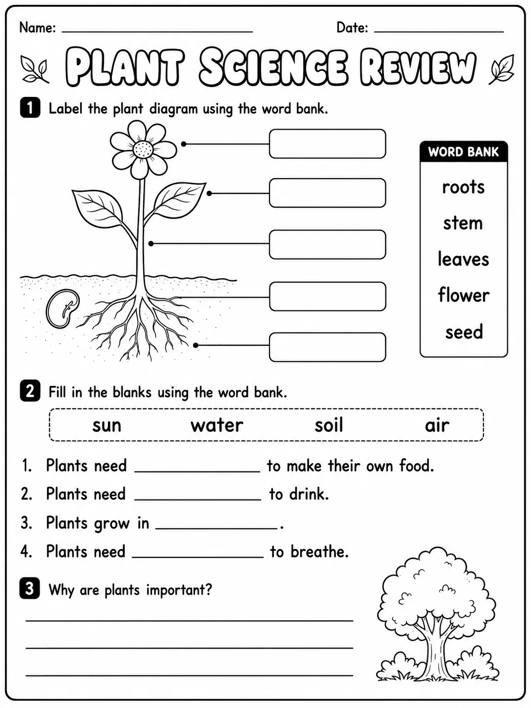 Plants Around Us Worksheet Pack page 9 printable worksheet preview