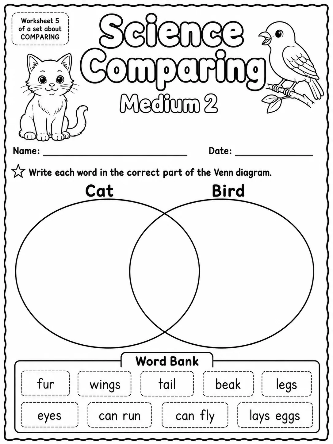 Science Comparing Easy I Worksheet Pack page 5 printable worksheet preview