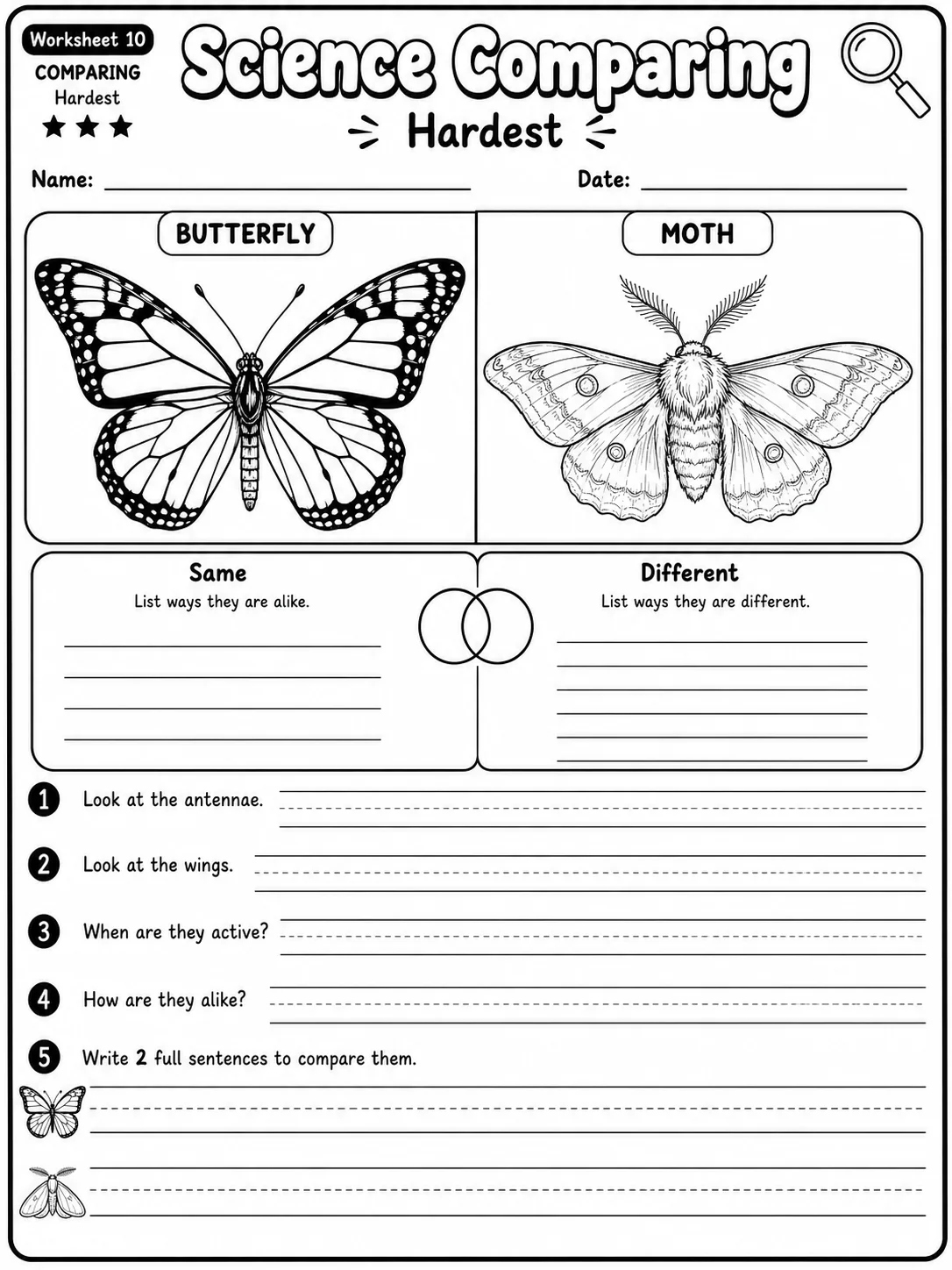 Science Comparing Easy I Worksheet Pack page 10 printable worksheet preview