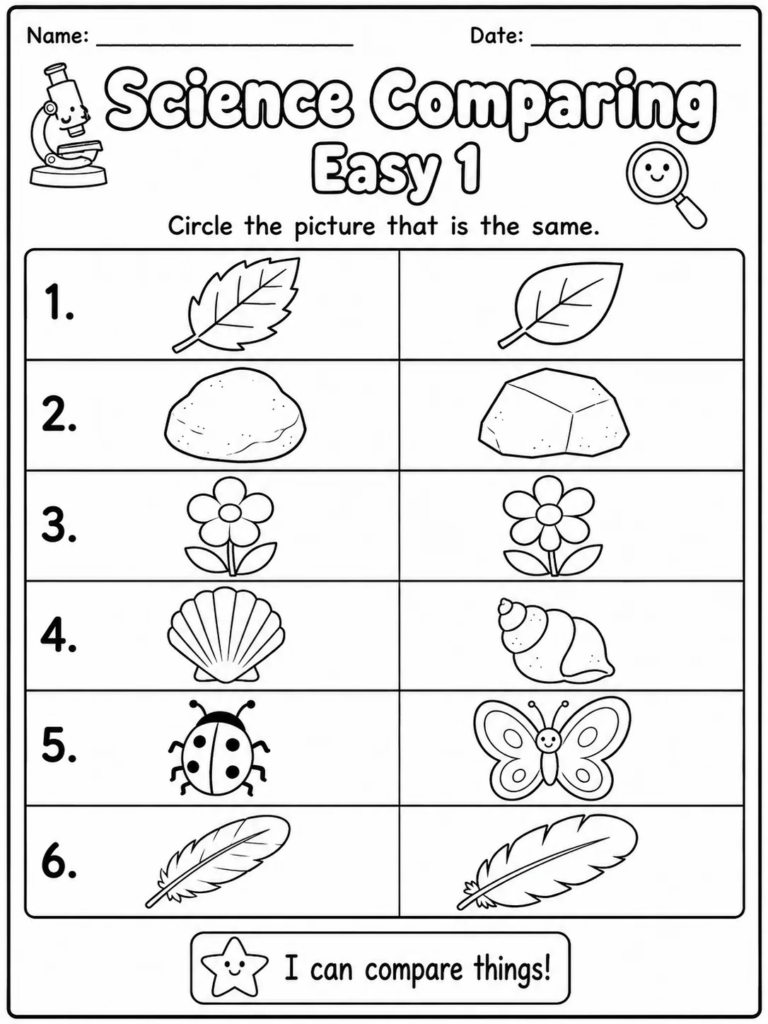 Science Comparing Easy I Worksheet Pack - Set 2 10 printable pages preview from KiwiBee